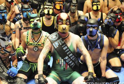 MAL 2019: Puppy Park, The Lobby, Leather Market and More #1