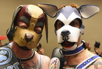 MAL 2019: Puppy Park, The Lobby, Leather Market and More #5
