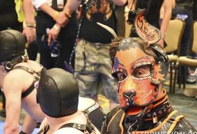 MAL 2019: Puppy Park, The Lobby, Leather Market and More #46