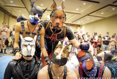 MAL 2019: Puppy Park, The Lobby, Leather Market and More #152