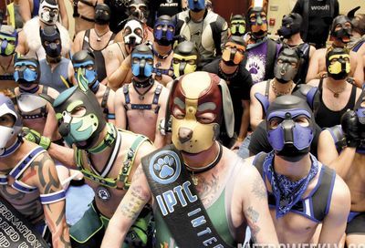 MAL 2019: Puppy Park, The Lobby, Leather Market and More #153