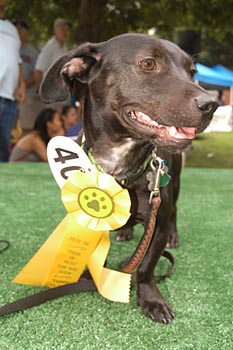 #41 of 70 : 2004-06-24_417_6205.jpg