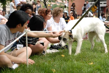 #121 of 138 : 2008-06-26_1041_32784.jpg