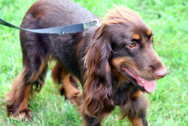 #82 of 97 : 2009-06-25_1218_44773.jpg