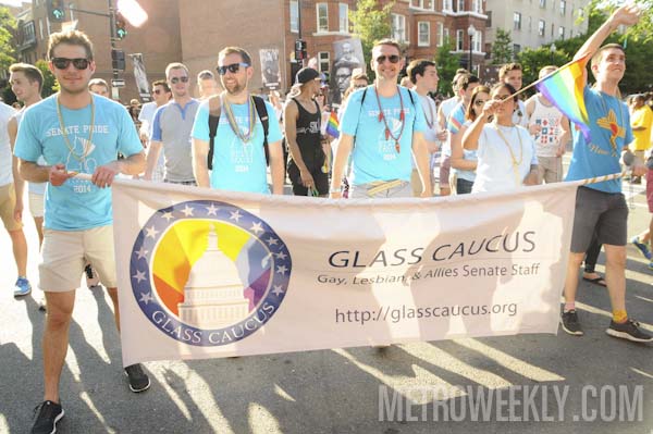 #261 of 493 : 2014-06-11_2044_105277.jpg