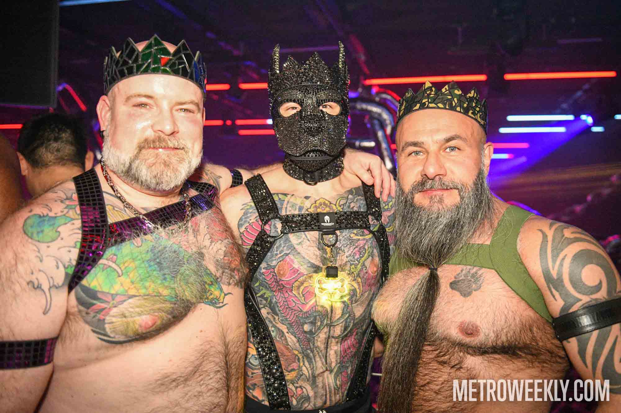 #16 of 40 : 2026-01-23_3026_179192.jpg