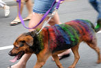 2011 Capital Pride Parade #436