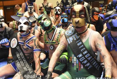 MAL 2019: Puppy Park, The Lobby, Leather Market and More #66